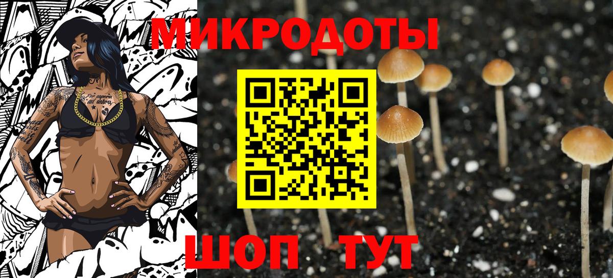 Сухой Лог  Галлюциногенные грибы Cubensis  Галлюциногенные грибы GOLDEN TEACHER  Вход с VPN 